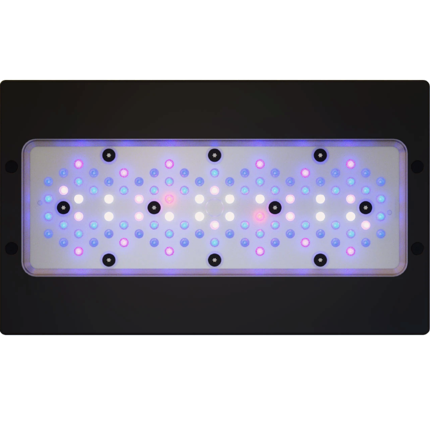 EcoTech Marine Radion G6 XR30 Blue LED Light