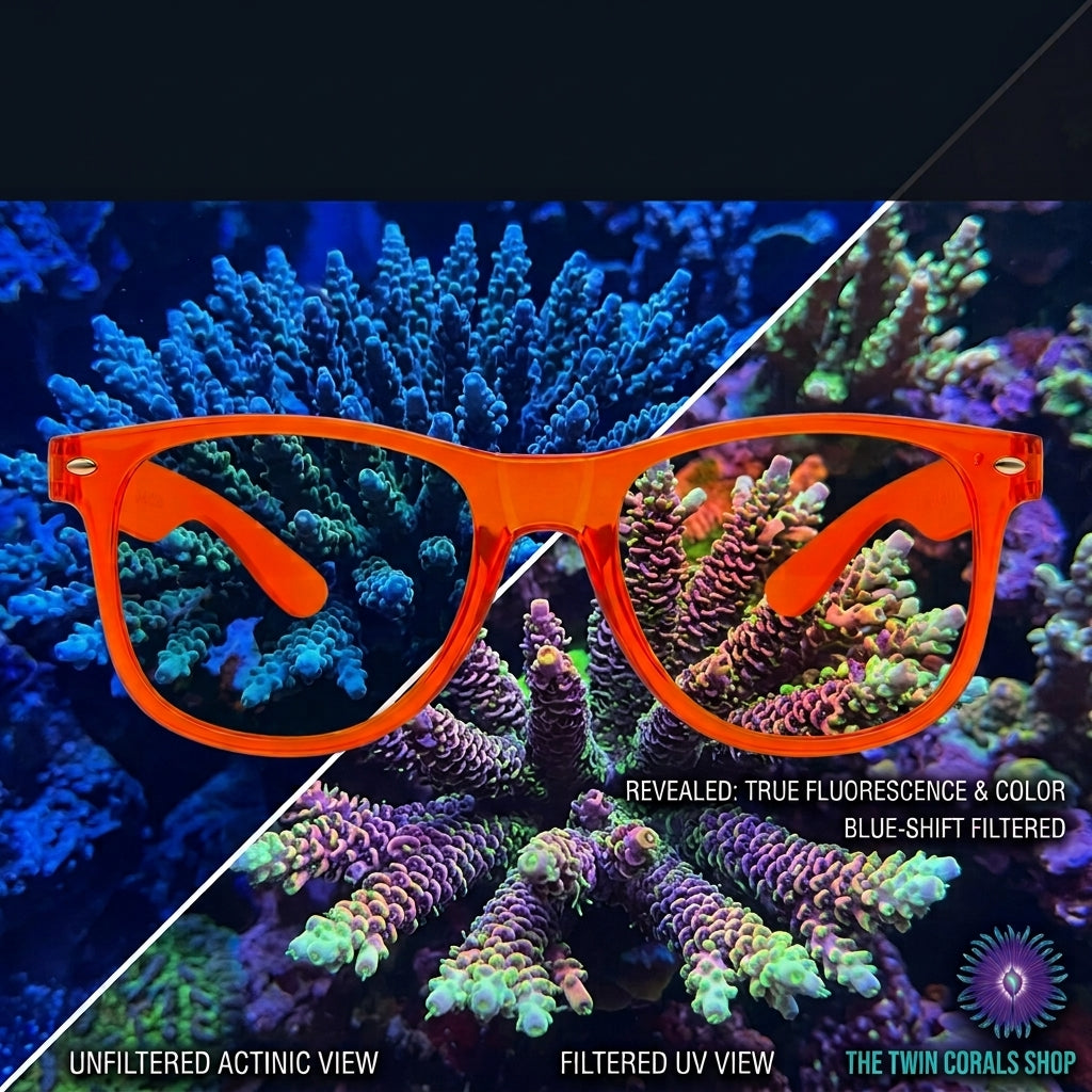 Orange Coral Viewing UV Glasses