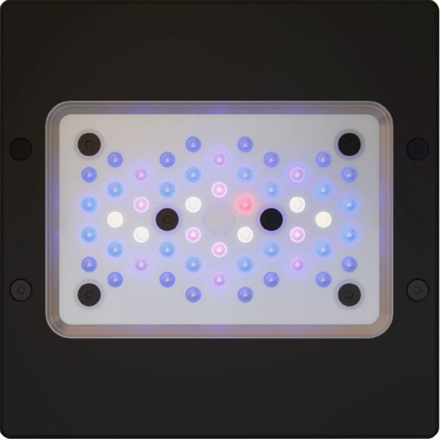 EcoTech Marine Radion G6 XR15 Blue LED Light