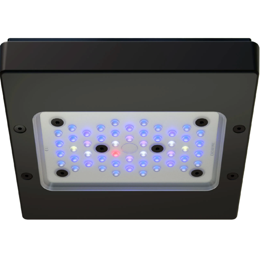 EcoTech Marine Radion G6 XR15 Blue LED Light