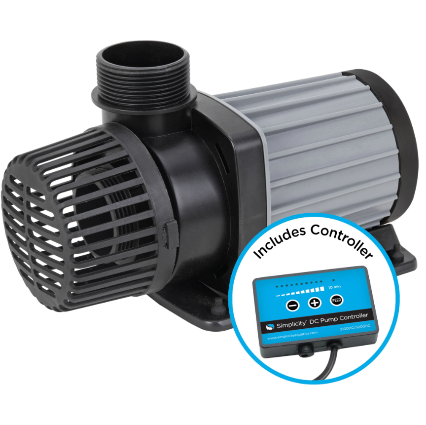 Simplicity 2100 DC Pump
